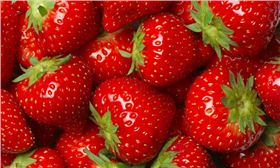 草莓与农药化肥