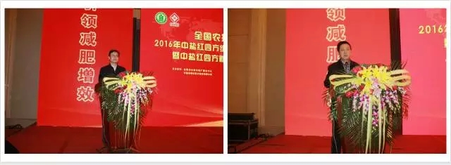 全国农业技术推广服务中心副主任 谢建华（左）